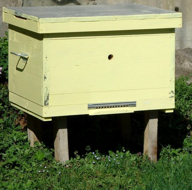 Улей-лежак ждёт пчёл