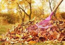 Уборка опавшей листвы — за и против