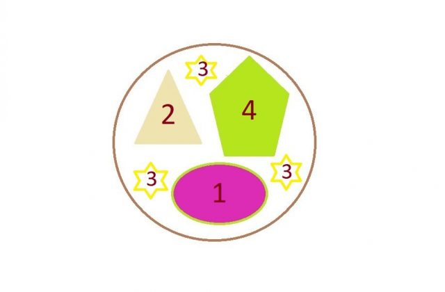 Схема композиции «Лиловый рассвет»: 1 - супертуния «Пикассо» - 1 шт., 2 - супертуния «Латте» - 1 шт.; 3 - вербейник монетчатый «Ауреа» - 2-4 шт., 4 - колеус «Фейерверк Лимон» - 1 шт.