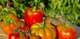 Лучшие сорта томатов и перцев для холодных регионов