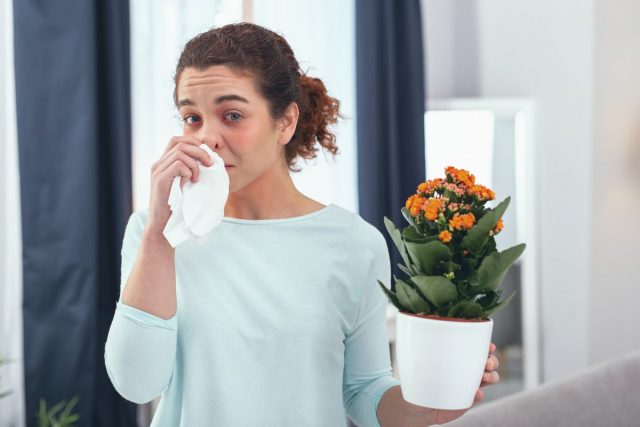Симптомы аллергических реакций на комнатные растения могут быть разными