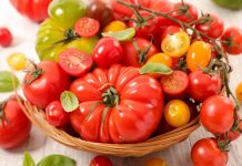 Лучшие сорта раннеспелых томатов от компании «Евросемена» г. Барнаул