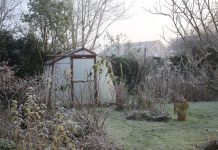 Тёплая зима — чем грозит садоводу?