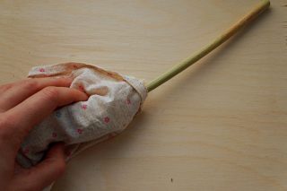 Для обмолота сорго метелку помещаем в тканевый мешочек и разминаем руками