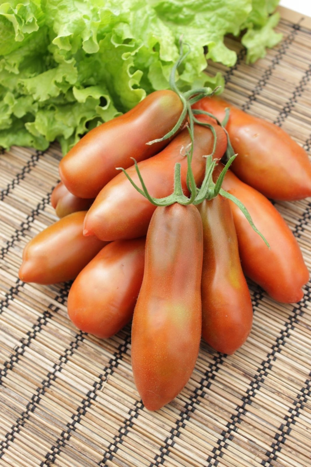 Сорт томатов Перцевидный