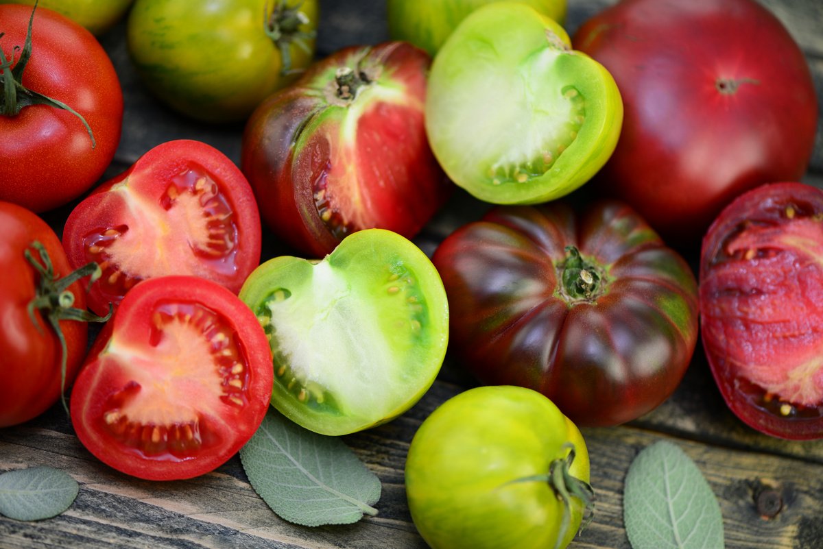Лучшие сорта томатов для экстремальных условий — короткого лета или жары.  Рекомендации, фото — Ботаничка