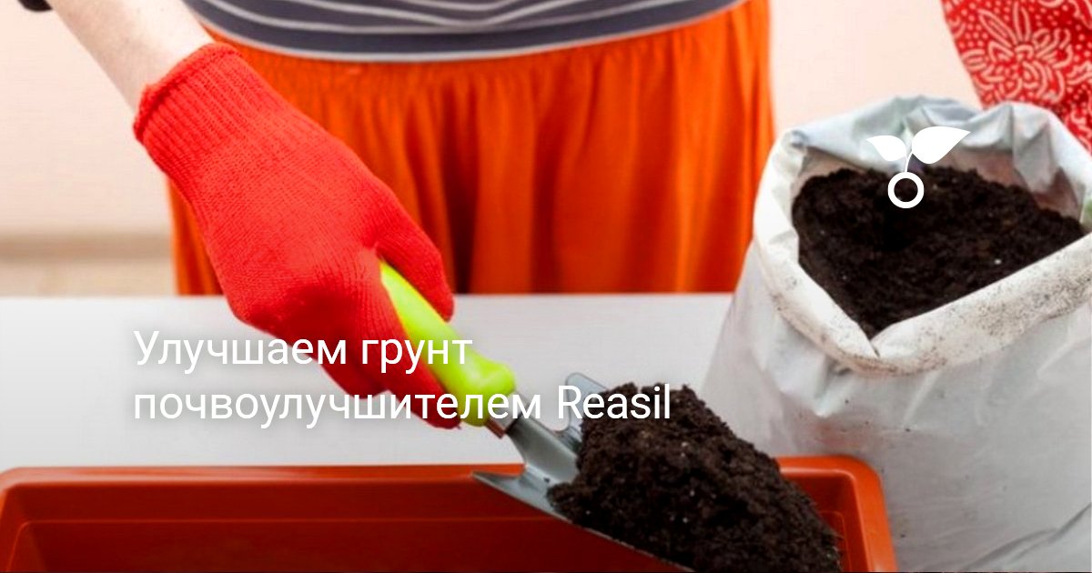 Улучшаем грунт почвоулучшителем Reasil — Ботаничка