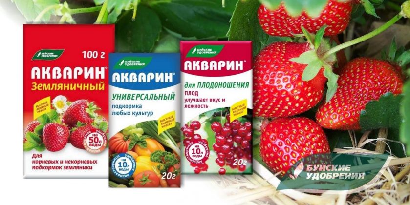 Гранулированные или водорастворимые — какие удобрения выбрать? — Ботаничка