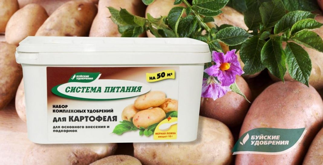 Простые правила выращивания картофеля — Ботаничка