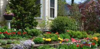 Яркий весенний палисадник из цветущих многолетников — создание и уход