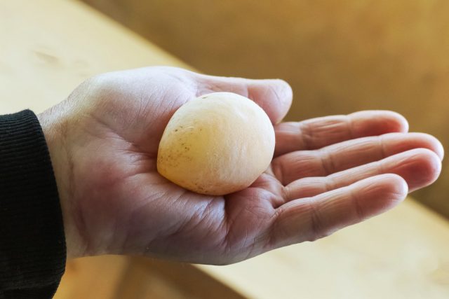 Яйца без скорлупы могут быть следствием не только недостатка кальция, но и воспаления яйцевода — сальпингита