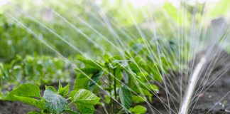 Как напоить растения с минимальными расходами воды и физических сил?