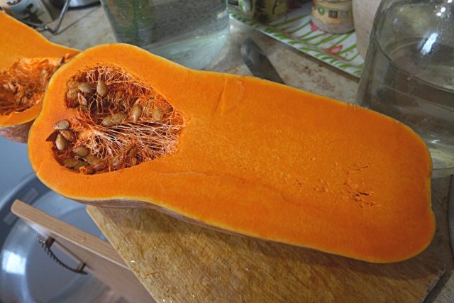 Тыква баттернат имеет ярко-оранжевую сочную мякоть и маленькую семенную камеру
