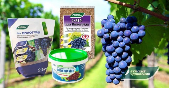 Удобрения завода Буйские удобрения: Органоминеральное удобрение, ОМУ для винограда и Акварин Виноградный