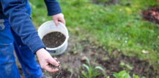 Как поддержать здоровье почвы – секреты биоорганики
