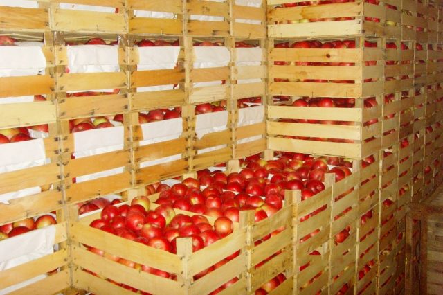Для хранения яблок предпочтительны емкости из натуральных материалов с вентиляционными отверстиями и зазорами