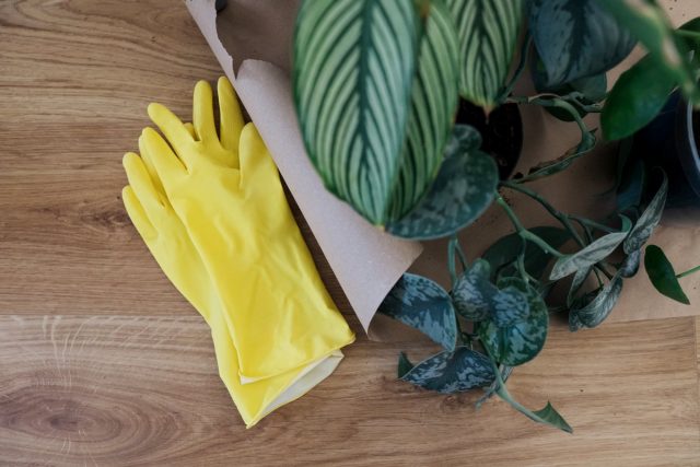 Прежде чем браться за обработку растений, стоит одеть перчатки