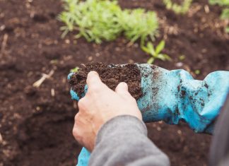 10 неочевидных проблем почвы, снижающих урожай на вашем участке