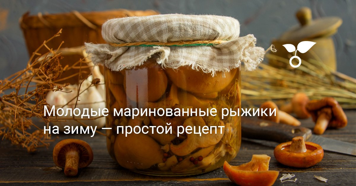 Рыжики маринованные, кратко, просто, быстро