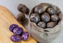 Фиолетовый картофель — преимущества и недостатки по сравнению с традиционным