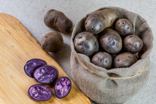 Фиолетовый картофель — преимущества и недостатки по сравнению с традиционным