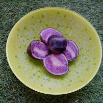 Фиолетовый картофель «Чудесник» в разрезе