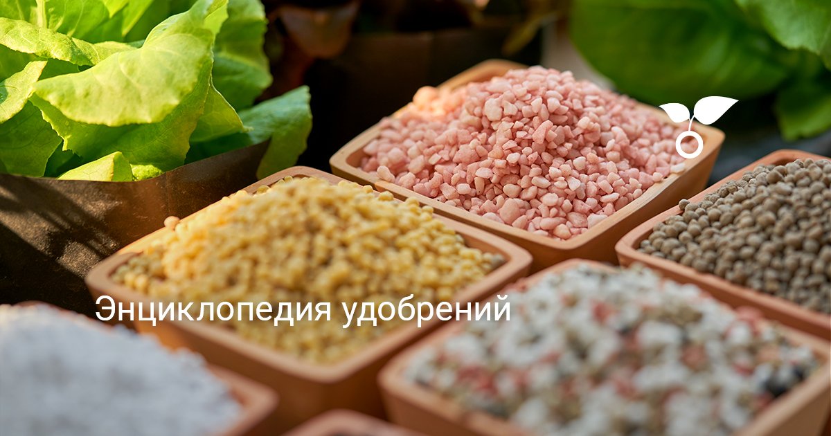 Калий хлористый (хлорид калия) — Ботаничка