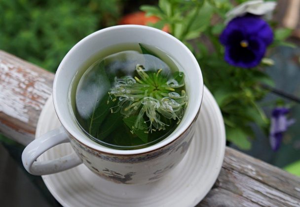 Монарда в саду — любуемся, лечимся и пьем вкусный чай. Выращивание ...