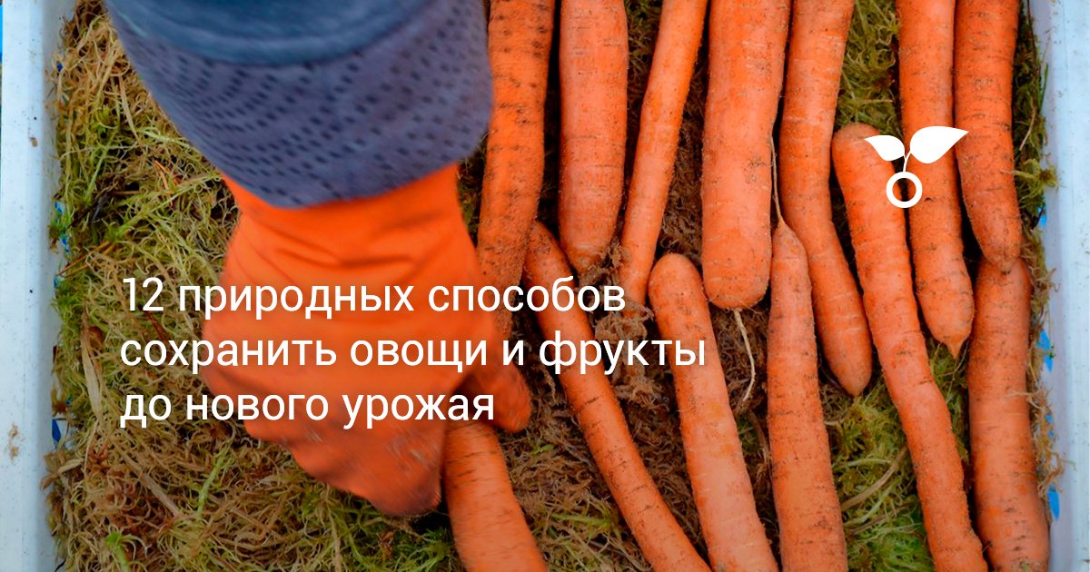 Как хранить продукты в колодце