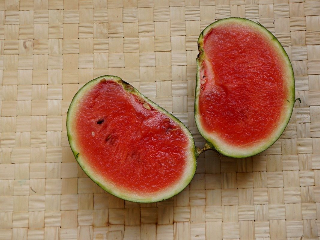 5 необычных и вкусных арбузов, которые я выращивала в прошлом сезоне ...
