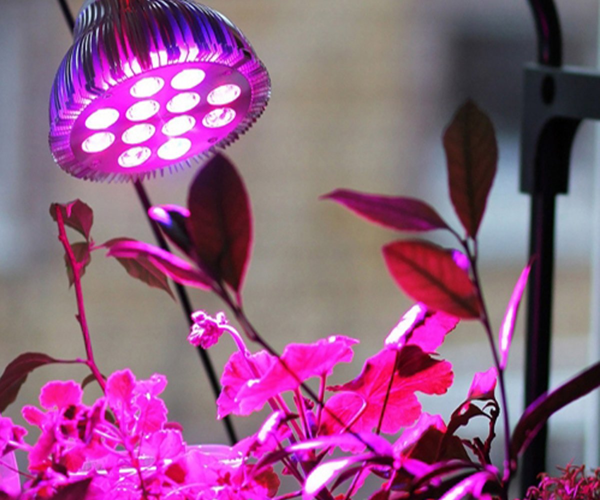 Декоративная подсветка для комнатных растений