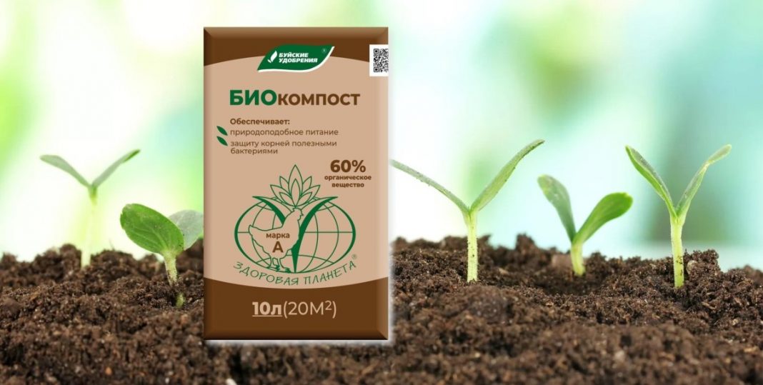 Малина – как ухаживать, чтобы было много ягод — Ботаничка