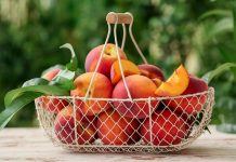Персик в средней полосе — опыт выращивания