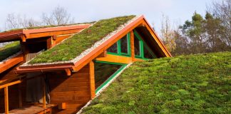 Сад на крыше — правила обустройства и ухода