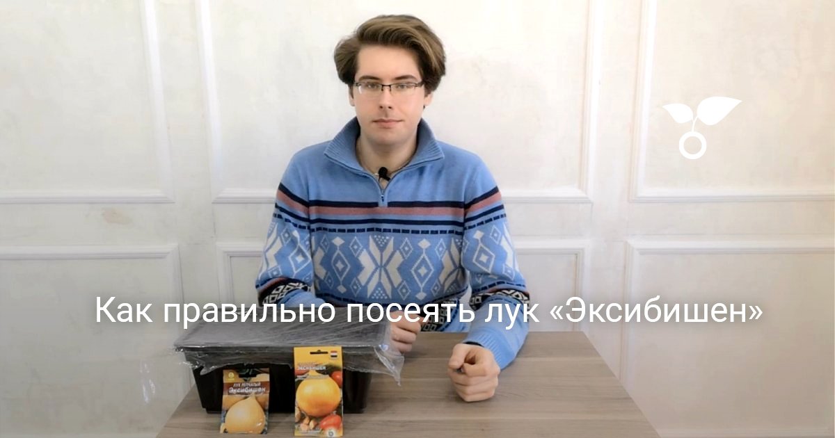 Как правильно посеять лук «Эксибишен». Видео — Ботаничка
