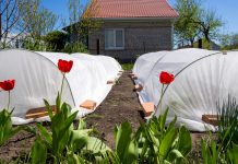 Крытые грядки — экологичная защита овощей от насекомых