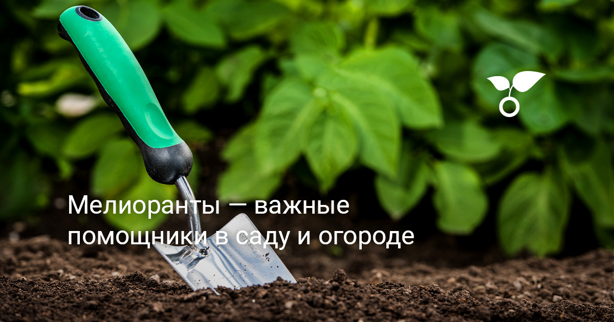 Снижение кислотности почвы