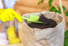 Какой бывает субстрат для комнатных растений и из чего он состоит?