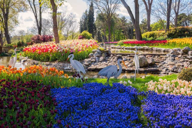 Главные события турецкого фестиваля тюльпанов традиционно проводятся в парке Эмирган