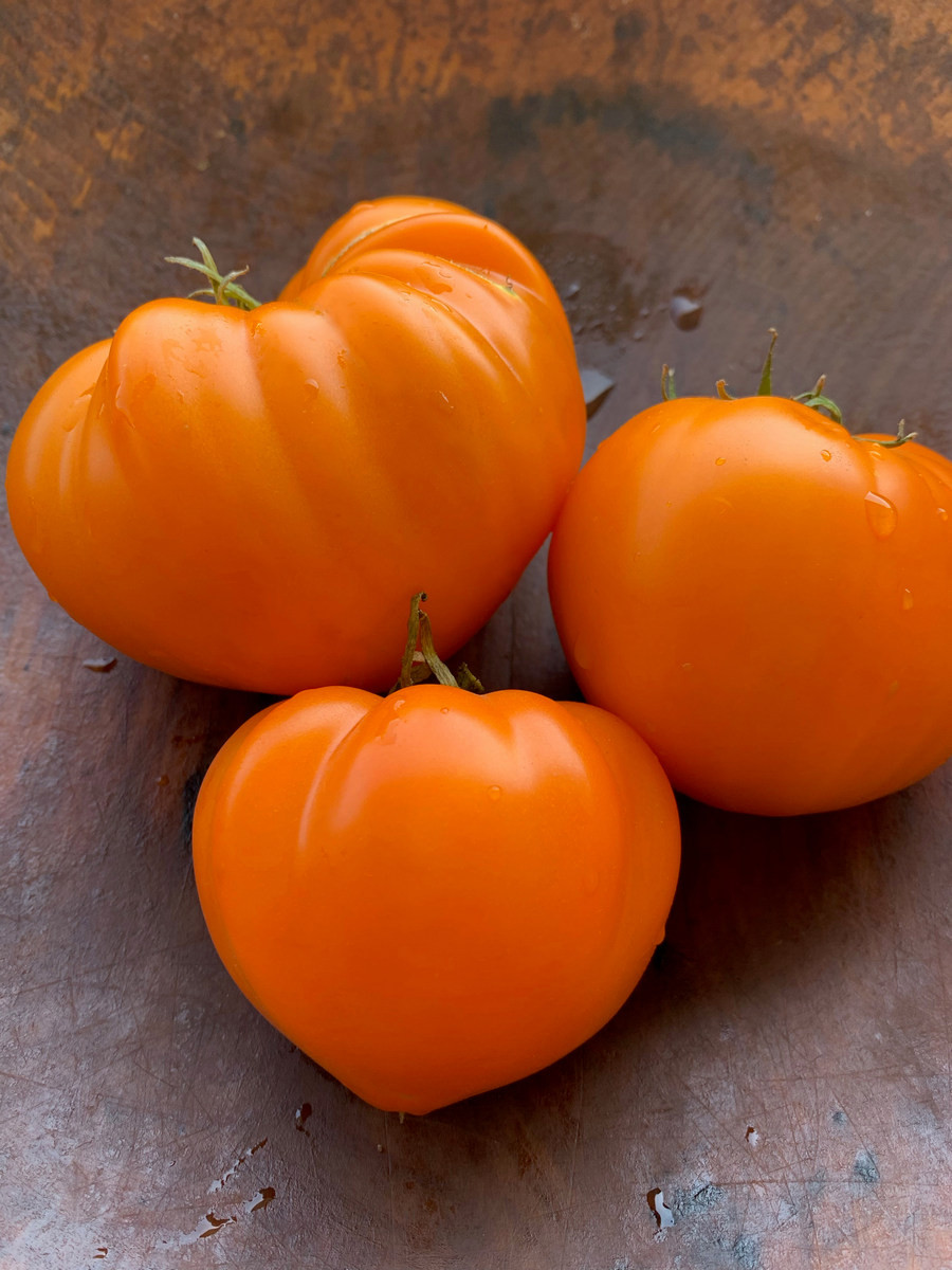 Сердцевидные томаты — особенности сортов и ухода за ними. Описание и фото —Ботаничка
