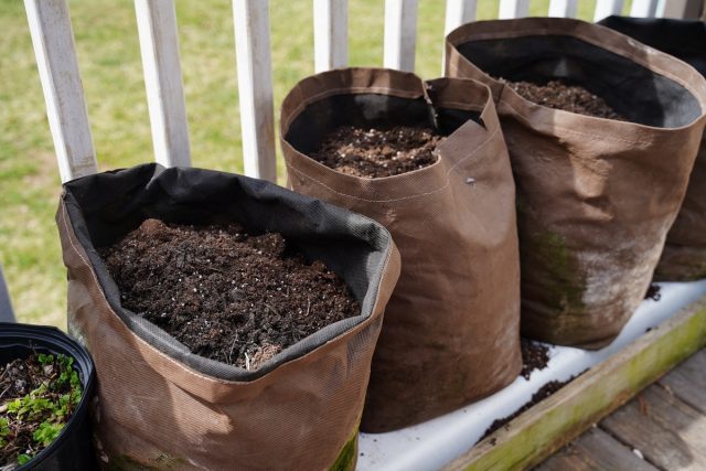 Специальные мешки для выращивания — хороший способ максимально использовать садовое пространство