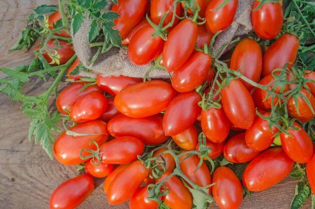 В первую очередь, томаты «сливки» полюбились многим хозяйкам за их размер и форму