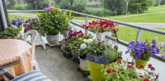 Как устроить контейнерный сад на балконе
