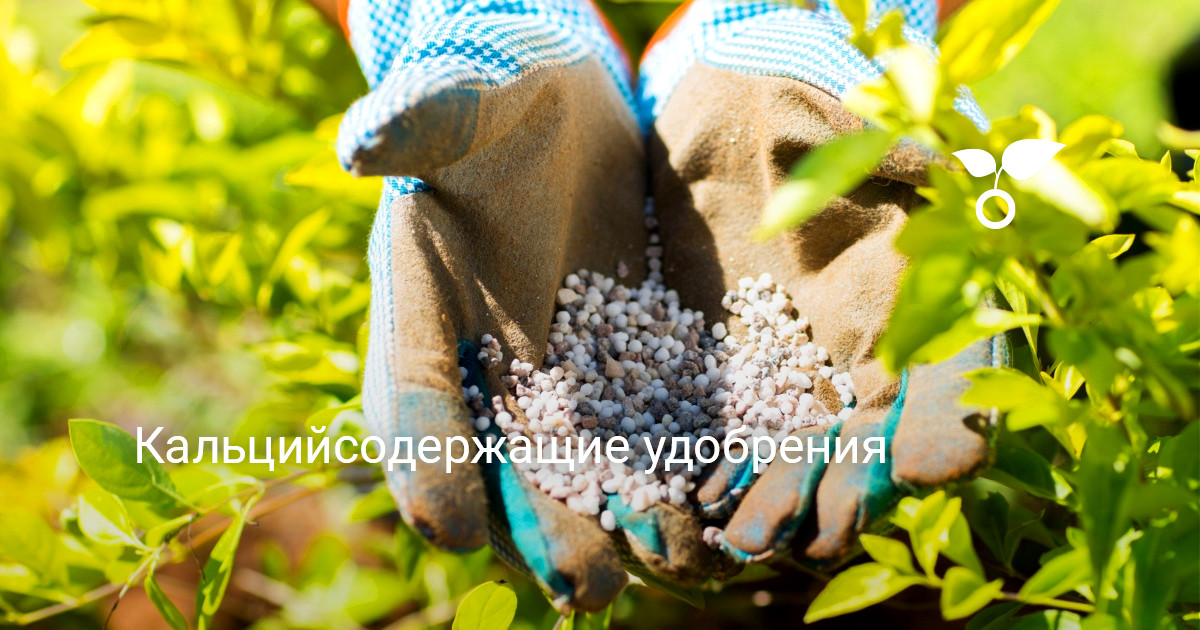 Кальцийсодержащие удобрения — Ботаничка