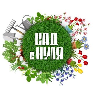 «Сад с нуля» лого