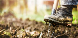 5 осенних работ с почвой, чтобы значительно улучшить её за зиму