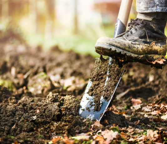 5 осенних работ с почвой, чтобы значительно улучшить её за зиму