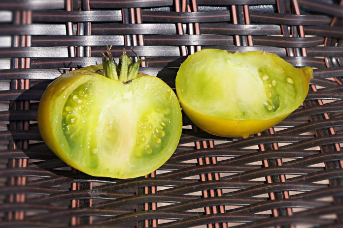 Самые необычные томаты, которые я выращивала в прошлом сезоне. Описание ...