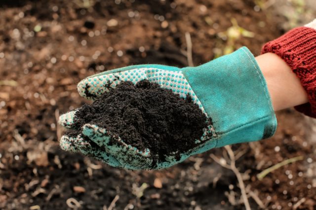 Чернозём не только обогащает почву необходимыми микроэлементами, но и повышает их усвояемость