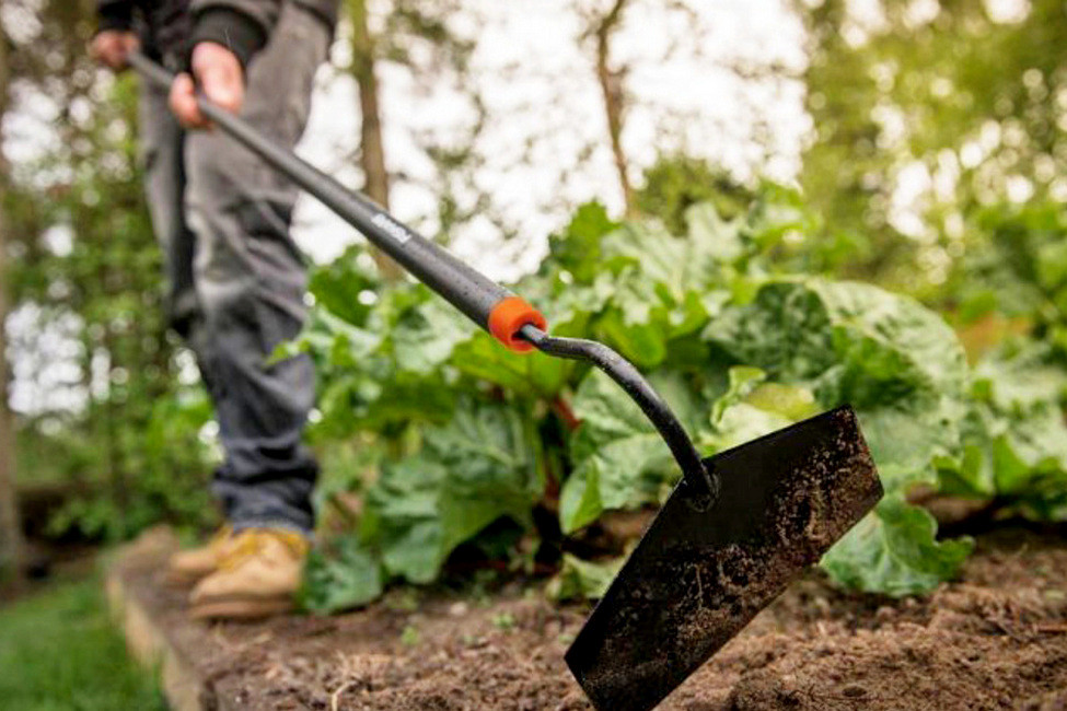 Основные инструменты для начинающего огородника: как выбрать и использовать